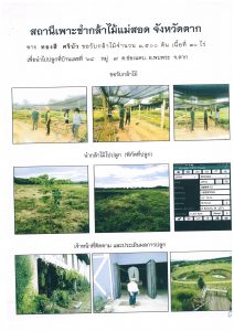 แปลงปลูกต้นไม้ของผู้ขอรับกล้าไม้-แปลงที่ 2