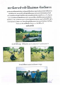 แปลงปลูกต้นไม้ของผู้ขอรับกล้าไม้-แปลงที่ 3