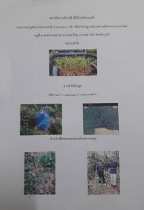 สถานีเพาะชำกล้าไม้จังหวัดกระบี่-แปลงปลูกต้นไม้ 59