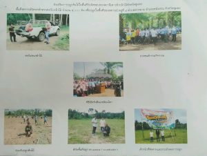 สถานีเพาะชำกล้าไม้จังหวัดชุมพร- แปลงปลูกต้นไม้59 แปลงที่ 1