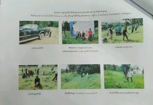 สถานีเพาะชำกล้าไม้จังหวัดชุมพร- แปลงปลูกต้นไม้59 แปลงที่ 2