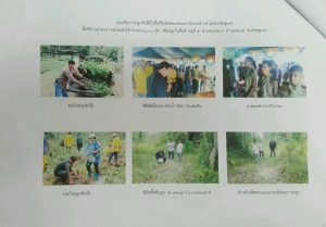 สถานีเพาะชำกล้าไม้จังหวัดชุมพร- แปลงปลูกต้นไม้59 แปลงที่ 3