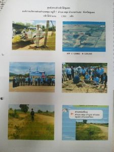 ศูนย์เพาะชำกล้าไม้ชุมพร - แปลงปลูกต้นไม้59 แปลงที่ 4