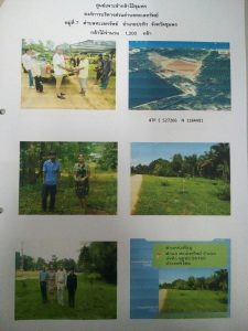 ศูนย์เพาะชำกล้าไม้ชุมพร - แปลงปลูกต้นไม้59 แปลงที่ 5