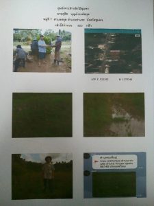 ศูนย์เพาะชำกล้าไม้ชุมพร - แปลงปลูกต้นไม้59 แปลงที่ 6