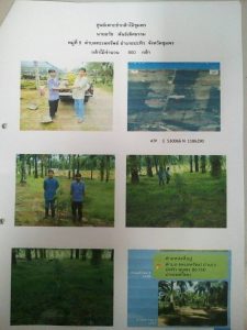 ศูนย์เพาะชำกล้าไม้ชุมพร - แปลงปลูกต้นไม้59 แปลงที่ 7