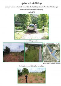 ศูนย์เพาะชำกล้าไม้พัทลุง-แปลงปลูก59 แปลงที่ 1