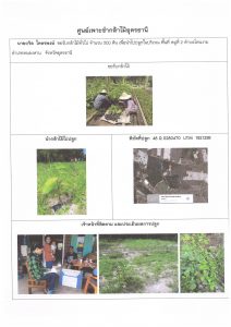 ศูนย์เพาะชำกล้าไม้อุดรธานี - แปลงปลูกต้นไม้59 แปลงที่ 1