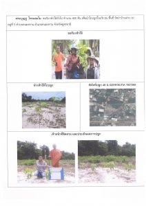 ศูนย์เพาะชำกล้าไม้อุดรธานี - แปลงปลูกต้นไม้59 แปลงที่ 3