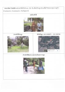 ศูนย์เพาะชำกล้าไม้อุดรธานี - แปลงปลูกต้นไม้59 แปลงที่ 4