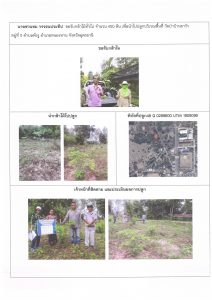 ศูนย์เพาะชำกล้าไม้อุดรธานี - แปลงปลูกต้นไม้59 แปลงที่ 6