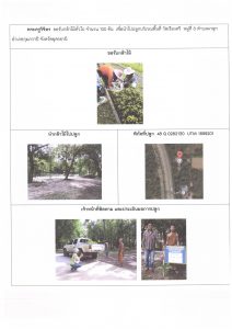 ศูนย์เพาะชำกล้าไม้อุดรธานี - แปลงปลูกต้นไม้59 แปลงที่ 7