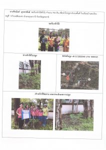 ศูนย์เพาะชำกล้าไม้อุดรธานี - แปลงปลูกต้นไม้59 แปลงที่ 8