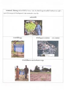 ศูนย์เพาะชำกล้าไม้อุดรธานี - แปลงปลูกต้นไม้59 แปลงที่ 10