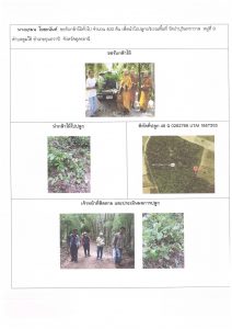 ศูนย์เพาะชำกล้าไม้อุดรธานี - แปลงปลูกต้นไม้59 แปลงที่ 11