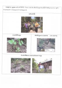 ศูนย์เพาะชำกล้าไม้อุดรธานี - แปลงปลูกต้นไม้59 แปลงที่ 12