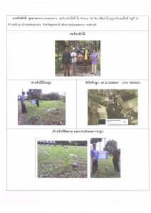 ศูนย์เพาะชำกล้าไม้อุดรธานี - แปลงปลูกต้นไม้59 แปลงที่ 13