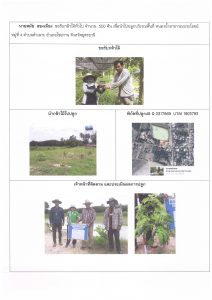 ศูนย์เพาะชำกล้าไม้อุดรธานี - แปลงปลูกต้นไม้59 แปลงที่ 15