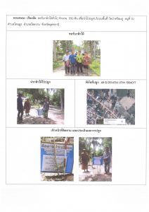 ศูนย์เพาะชำกล้าไม้อุดรธานี - แปลงปลูกต้นไม้59 แปลงที่ 16