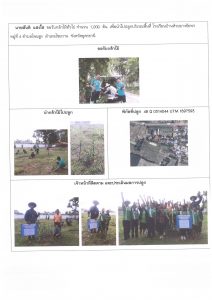 ศูนย์เพาะชำกล้าไม้อุดรธานี - แปลงปลูกต้นไม้59 แปลงที่ 17