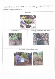 ศูนย์เพาะชำกล้าไม้อุดรธานี - แปลงปลูกต้นไม้59 แปลงที่ 18