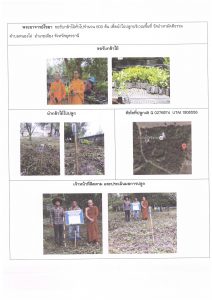 ศูนย์เพาะชำกล้าไม้อุดรธานี - แปลงปลูกต้นไม้59 แปลงที่ 19