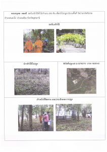 ศูนย์เพาะชำกล้าไม้อุดรธานี - แปลงปลูกต้นไม้59 แปลงที่ 20