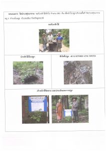 ศูนย์เพาะชำกล้าไม้อุดรธานี - แปลงปลูกต้นไม้59 แปลงที่ 21