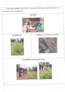 ศูนย์เพาะชำกล้าไม้อุดรธานี - แปลงปลูกต้นไม้59 แปลงที่ 23