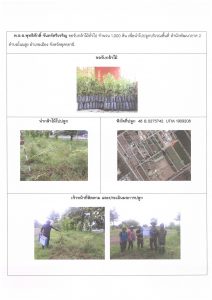 ศูนย์เพาะชำกล้าไม้อุดรธานี - แปลงปลูกต้นไม้59 แปลงที่ 24