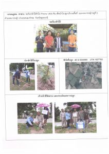 ศูนย์เพาะชำกล้าไม้อุดรธานี - แปลงปลูกต้นไม้59 แปลงที่ 25