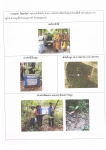 ศูนย์เพาะชำกล้าไม้อุดรธานี - แปลงปลูกต้นไม้59 แปลงที่ 27