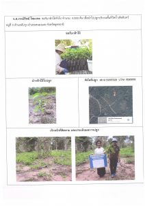 ศูนย์เพาะชำกล้าไม้อุดรธานี - แปลงปลูกต้นไม้59 แปลงที่ 28