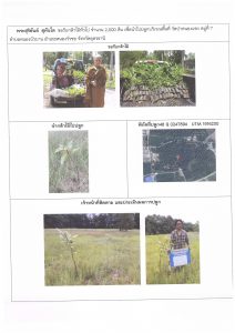 ศูนย์เพาะชำกล้าไม้อุดรธานี - แปลงปลูกต้นไม้59 แปลงที่ 29