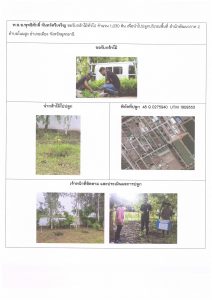 ศูนย์เพาะชำกล้าไม้อุดรธานี - แปลงปลูกต้นไม้59 แปลงที่ 30