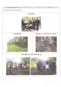 ศูนย์เพาะชำกล้าไม้อุดรธานี - แปลงปลูกต้นไม้59 แปลงที่ 33