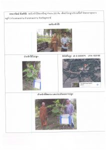ศูนย์เพาะชำกล้าไม้อุดรธานี - แปลงปลูกต้นไม้59 แปลงที่ 34
