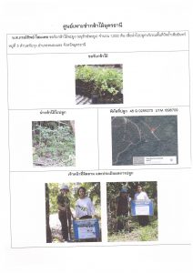 ศูนย์เพาะชำกล้าไม้อุดรธานี - แปลงปลูกต้นไม้59 แปลงที่ 36