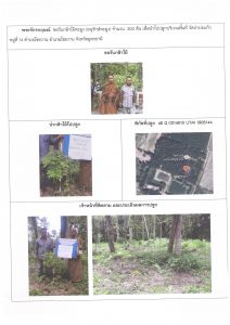 ศูนย์เพาะชำกล้าไม้อุดรธานี - แปลงปลูกต้นไม้59 แปลงที่ 37