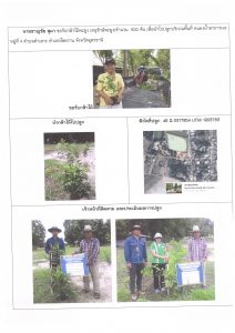 ศูนย์เพาะชำกล้าไม้อุดรธานี - แปลงปลูกต้นไม้59 แปลงที่ 38