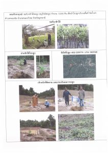 ศูนย์เพาะชำกล้าไม้อุดรธานี - แปลงปลูกต้นไม้59 แปลงที่ 40