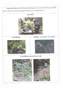 ศูนย์เพาะชำกล้าไม้อุดรธานี - แปลงปลูกต้นไม้59 แปลงที่ 41