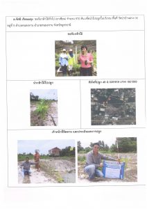 ศูนย์เพาะชำกล้าไม้อุดรธานี - แปลงปลูกต้นไม้59 แปลงที่ 43