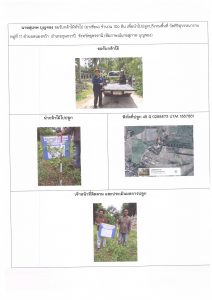 ศูนย์เพาะชำกล้าไม้อุดรธานี - แปลงปลูกต้นไม้59 แปลงที่ 44