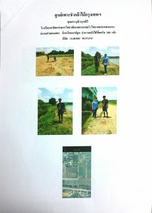 ศูนย์เพาะชำกล้าไม้กรุงเทพฯ - แปลงปลูกต้นไม้59 แปลงที่ 1