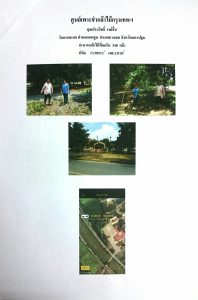 ศูนย์เพาะชำกล้าไม้กรุงเทพฯ - แปลงปลูกต้นไม้59 แปลงที่ 2