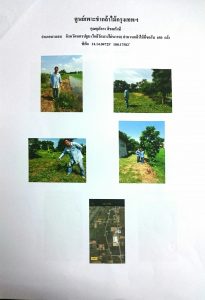 ศูนย์เพาะชำกล้าไม้กรุงเทพฯ - แปลงปลูกต้นไม้59 แปลงที่ 3