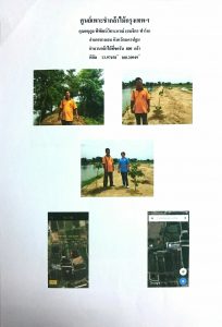 ศูนย์เพาะชำกล้าไม้กรุงเทพฯ - แปลงปลูกต้นไม้59 แปลงที่ 4