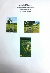 ศูนย์เพาะชำกล้าไม้กรุงเทพฯ - แปลงปลูกต้นไม้59 แปลงที่ 5