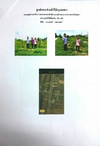 ศูนย์เพาะชำกล้าไม้กรุงเทพฯ - แปลงปลูกต้นไม้59 แปลงที่ 6